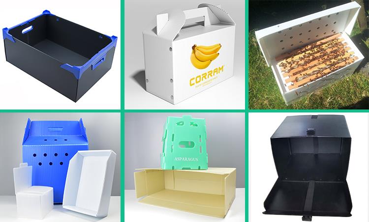 PP Plastic Corflute HSC Danpla Box